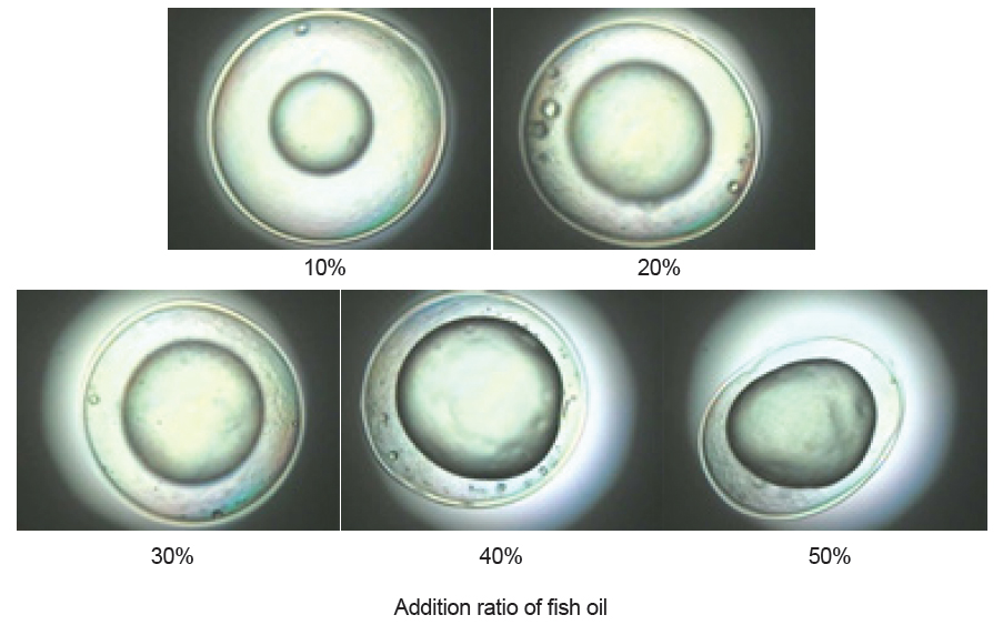 Photography of the capsules as affected by the addition ratio of fish oils. Each photo was taken at 40×magnification.