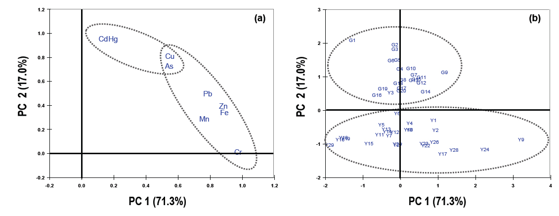 Principal component analysis plots for (a) loadings and (b) scores according to composition and concentration of trace metals in sediments from Yeoja and Gangjin Bays, Korea.