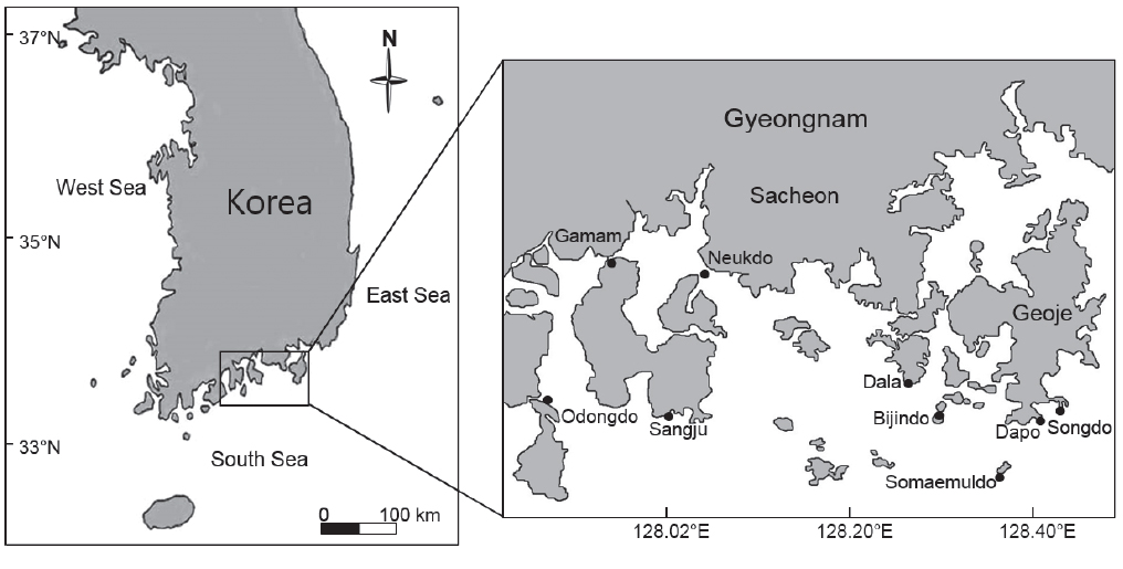 A map of study sites and the location of Hallyeohaesang National Park in Korea.