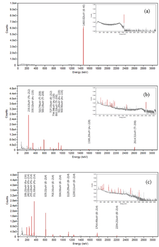 (a) 40K peak of KCl sample. (b) Dominant peaks of RGTh. (c) Dominant peaks of RGU.