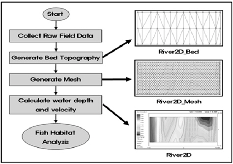 River2D modeling process.