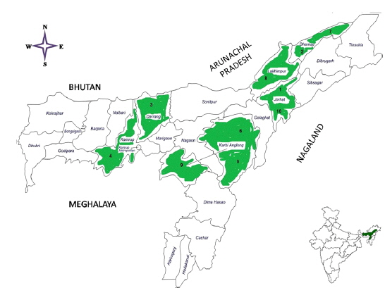 Map of Assam showing the distribution of non-mulberry silkworm Muga (A. assamensis) and Eri (S. c. ricini) in six biogeographical areas.