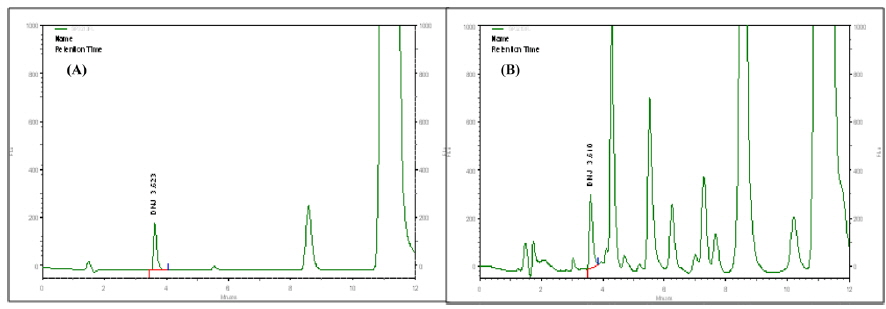 Analysis chromatogram of 1-DNJ standard (A) and silkworm variety SK-1 containing the best 1-DNJ content (B).