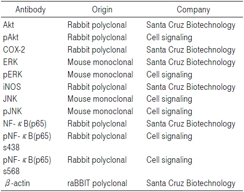 Antibodies Used in the Present Study