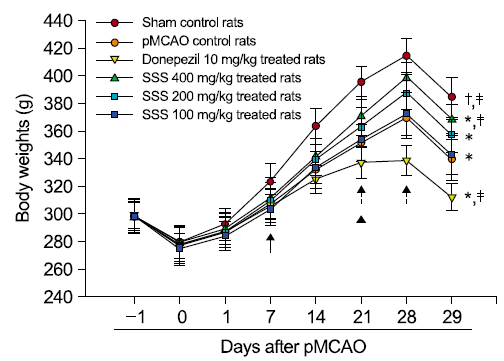 Body Weight Changes in pMCAO Rats.