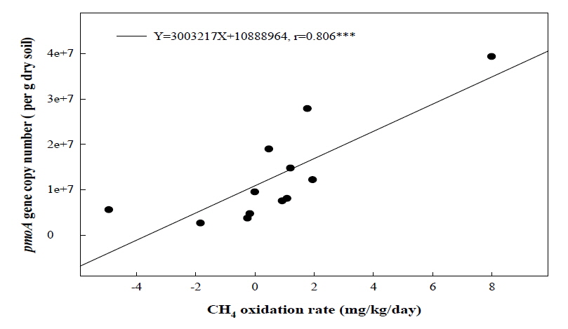 Correlation between pmoA gene copy number and CH4 oxidation rates.