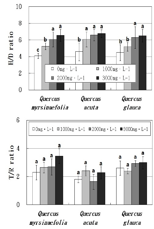 Effect of fertilizing concentrations on H/D ratio and T/R ratio of Q. myrsinaefolia, Q. acuta and Q. glauca seedlings. Different letters above bar in species indicate significant differences according to Duncan’s multiple range test(p=0.05). Bars indicate SD.