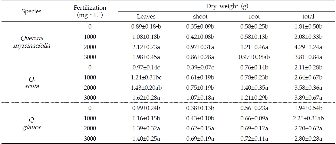 Effect of fertilizing concentrations on dry weight of Q. myrsinaefolia, Q. acuta and Q. glauca container seedlings