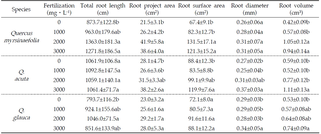 Root morphological traits of Q. myrsinaefolia, Q. acuta and Q. glauca container seedlings by different fertilizing concentrations