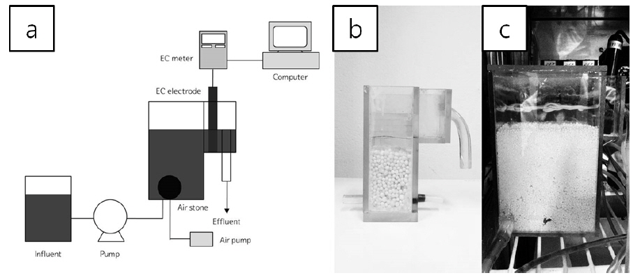 Schematic diagram of a toxicity biomonitoring system using sulfur oxidizing bacteria (a), sulfur reactor filled with 2-4 mm sulfur particles (b), and MCR reactor (c).
