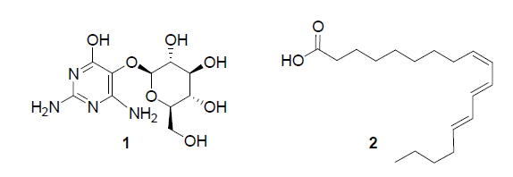 Chemical structures of vicine (1) and α-eleostearic acid (2) from the seeds of Momordica charantia.