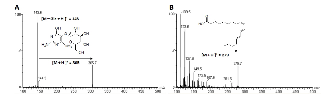 Positive ion mass spectrum acquired by HPLC-ESI/MS analysis of vicine (A) and α-eleostearic acid (B).