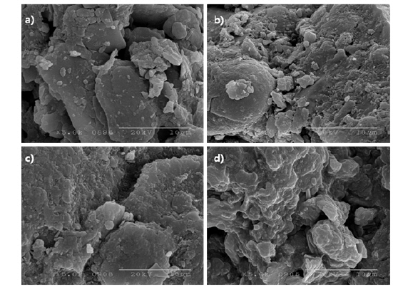 SEM images of dried soil surface.