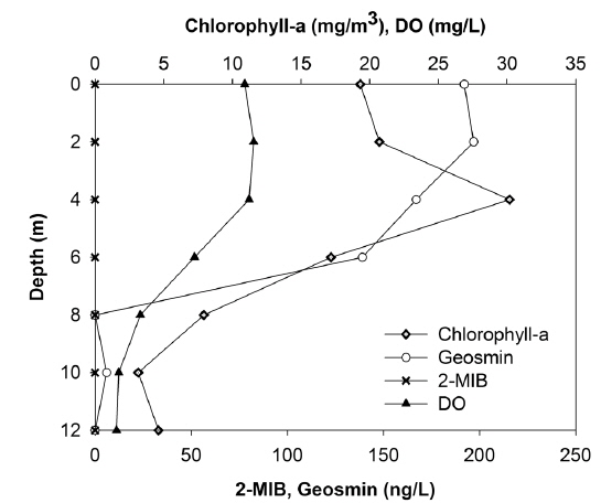 Vairations of DO, cholorophyll-a, Geosmin and 2-MIB concentrations with depth in St. 6.