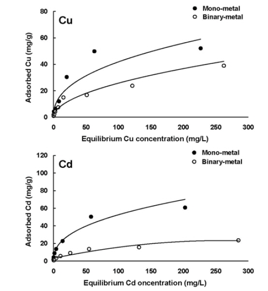 Mono-metal and binary-metal adsorption isotherms for the Cu and Cd by biochar derived from Phragmites communis in the batch experiment.