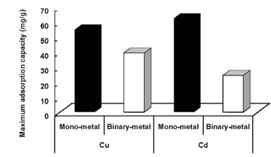 Maximum metal (Cu and Cd) adsorption capacities in mono-metal and binary-metal adsorption isotherms by biochar derived from Phragmites communis in the batch experiment.