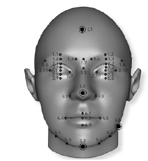 Image of frontal face mark