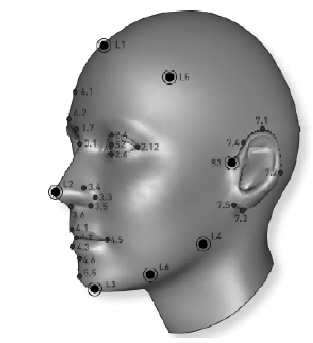 Image of lateral face mark