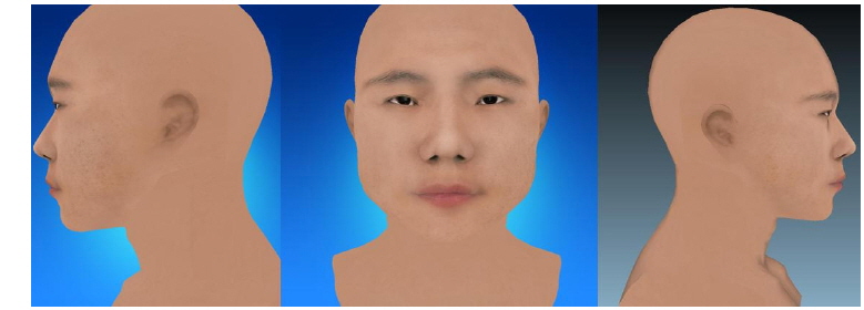 Three-dimensional standard face of Taeeumin (Male)