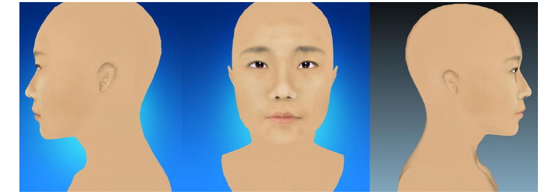 Three-dimensional standard face of Taeeumin (Female)