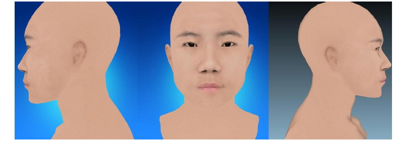 Three-dimensional standard face of Soyangin (Male)