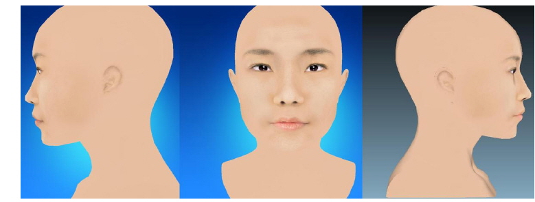 Three-dimensional standard face of Soyangin (Female)