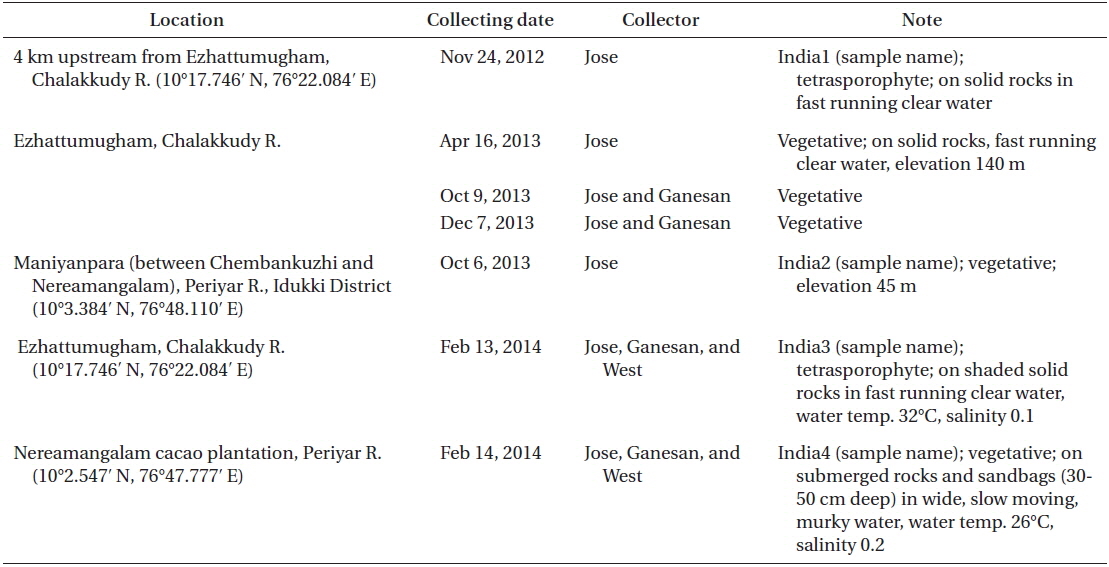 Caloglossa beccarii collection locations, substrates, temperatures, salinities, reproduction, collectors, and dates, Kerala, India