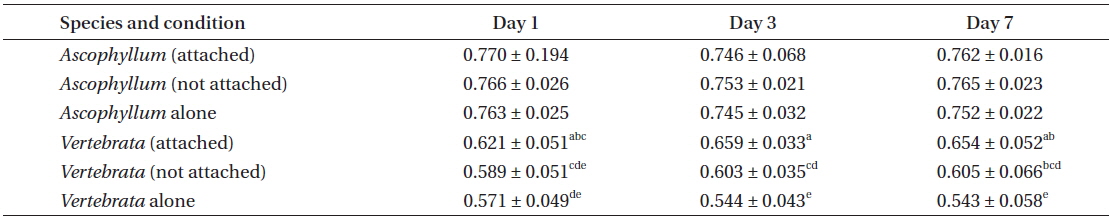 Results of laboratory experiment 1 showing maximum quantum yield, QY(II)max, in Ascophyllum and Vertebrata on days 1, 3, and 7 when growing alone (alone), detached, but in same culture vessel, and attached to its symbiont