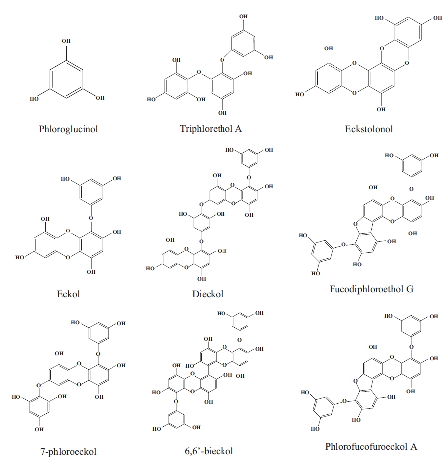 Chemical structures of phlorotannins derived from marine algae.