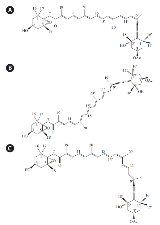 Chemical structures of fucoxnathin 9′-cis-(6′R)-isomer (FcA) (A), and 13-cis-(6′R) isomer (B), and 13′-cis-(6′R) isomer complex (FcB) (C) isolated from Sargassum siliquastrum.