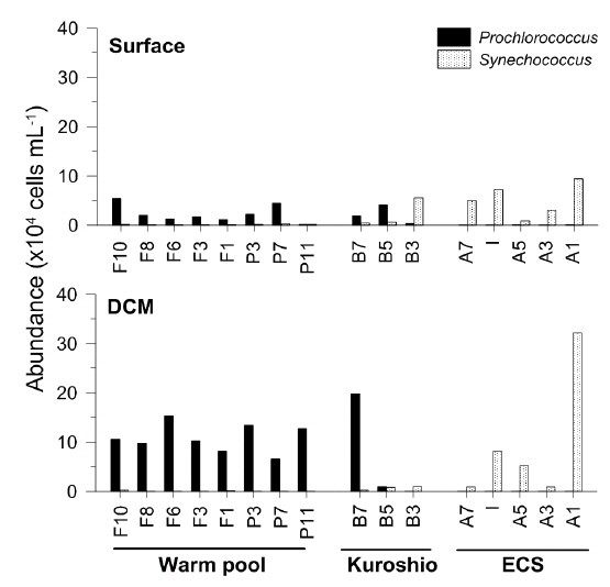 Abundance distribution of Prochlorococcus and Synechococcus at the surface and deep chlorophyll maximum (DCM) depths. ECS, East China Sea.