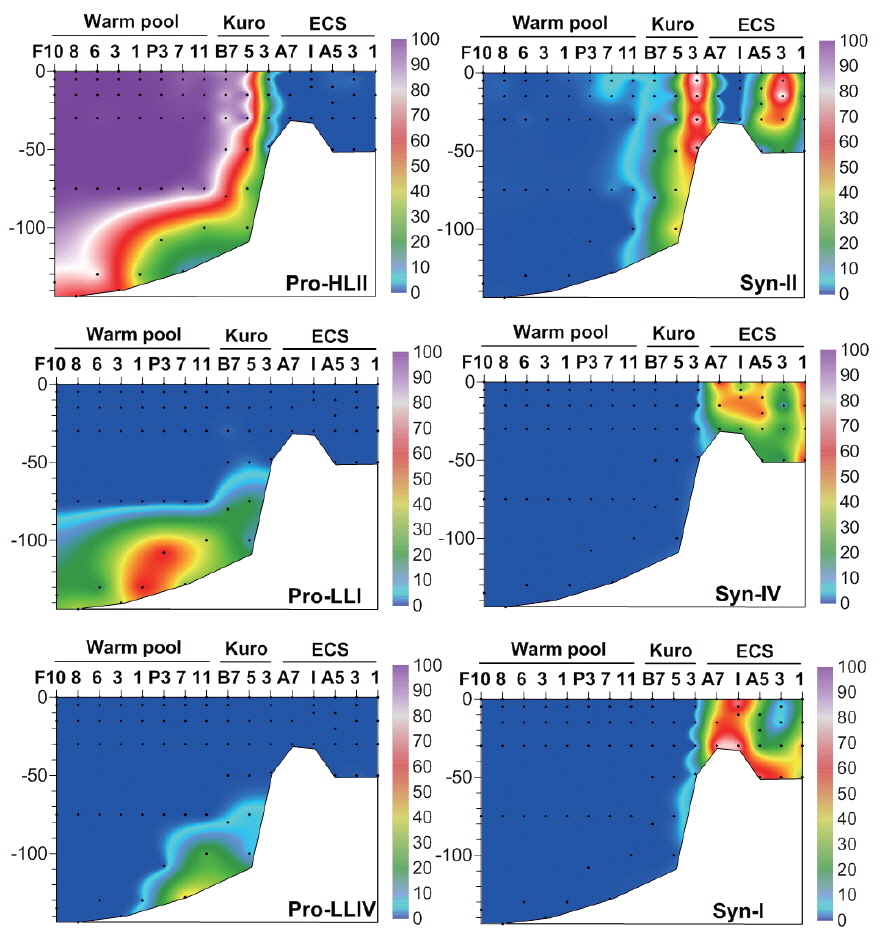 Contour plots showing the percentages of major picocyanobacterial (Prochlorococcus, Pro; Synechococcus, Syn) lineages as proportions of all picocyanobacterial sequences. Black dots, sampling depths; Kuro, Kuroshio Current; ECS, East China Sea.