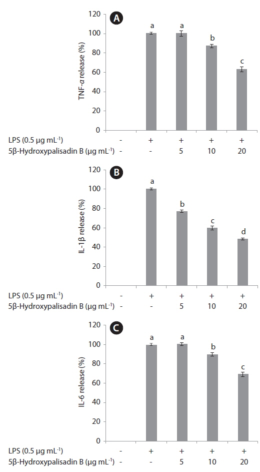 Effect of 5β-hydroxypalisadin B on lipopolysaccharide (LPS)-induced tumor necrotic factor-alpha (TNF-α) (A), interleukin (IL)-1β (B), and IL-6 (C) production in RAW 264.7 macrophages. After incubation of cells with LPS for 24 h in the presence or absence of 5β-hydroxypalisadin B, the concentrations of the pro-inflammatory cytokines in the medium were measured. Values are presented as mean ± standard deviation of three determinations. Values are compared with the control (without the sample) and the different alphabets (a-d) on the values are significantly different at p < 0.05 as analyzed by Duncan’s multiple range test.