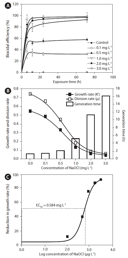 Effect of NaOCl on the growth rate of Cochlodinium polykrikoides cells. (A) Biocidal efficiency of NaOCl based on decrease in cell counts. (B) Variation in growth rate, division rate and generation time of C. polykrikoides after exposure to NaOCl. (C) Dose response curve after 72 h exposure to NaOCl.