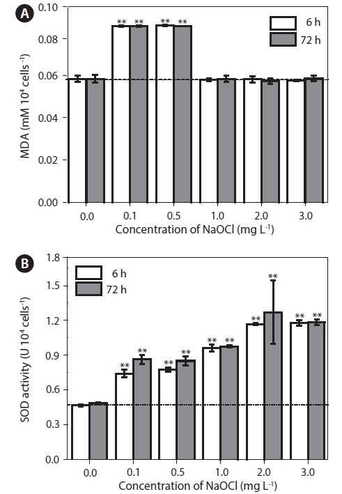 Effect of NaOCl on enzymatic activity of Cochlodinium polykrikoides cells. (A) Variation in lipid peroxidation activity after 6 and 72 h exposure to NaOCl. (B) Variation in super oxide dismutase (SOD) activity after 6 and 72 h exposure to NaOCl. Significant difference as determined by Dunnet ’s multiple comparisons test are represented as **p < 0.001 level when compared to control. Dot lines represent mean values of controls at 6 and 72 h. MDA, malondialdehyde.