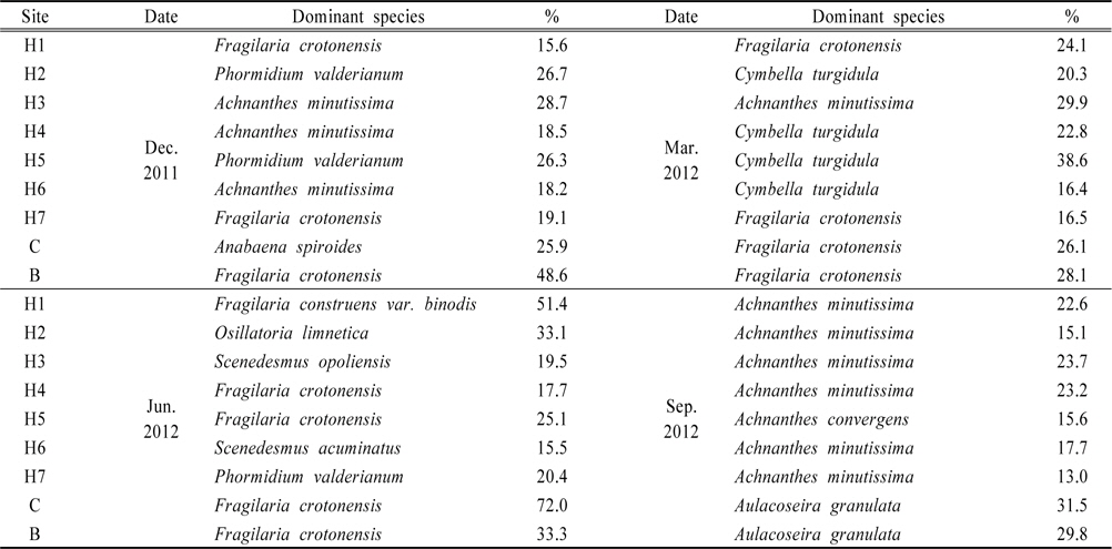 The dominant species of phytoplanktons at 9 sites including 7 sites in Hongcheon river from Dec. 2011 to Sep. 2012