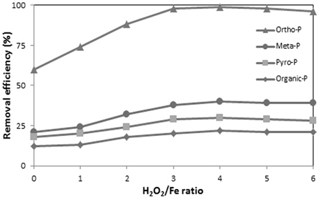 Effect of H2O2/Fe mole ratio on phosphorus removal efficiency with Fe/P molal ratio of 2.