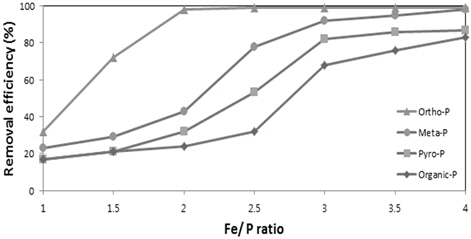 Effects of Fe/P mole ratio on phosphorus species removal efficiency with H2O2/Fe molal ratio of 4.