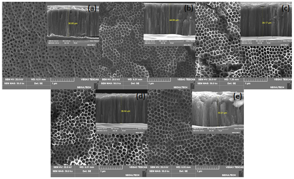 SEM images of TiO2 nanotube formed at 60 V for 15 h in 2 vol% H2O + ethylene glycol added (a) 0.1 wt% NH4F (b) 0.2 wt% NH4F (c) 0.3 wt% NH4F (d) 0.4 wt% NH4F (e) 0.5 wt% NH4F