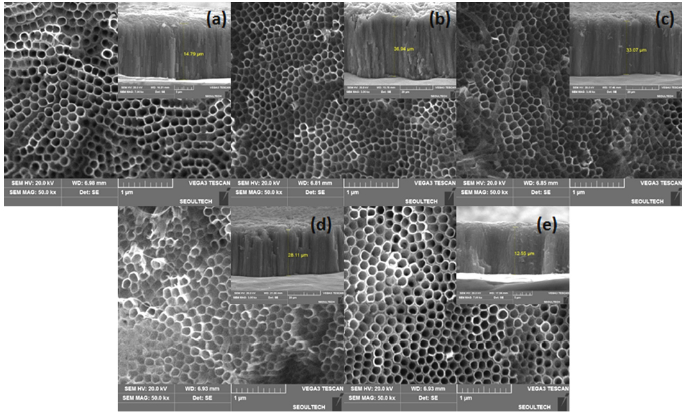 SEM images of TiO2 nanotube formed at 60 V for 15 h in 0.2 wt% NH4F + ethylene glycol added (a) 1 vol% H2O (b) 2 vol% H2O (c) 3 vol% H2O (d) 4 vol% H2O (e) 5 vol% H2O.