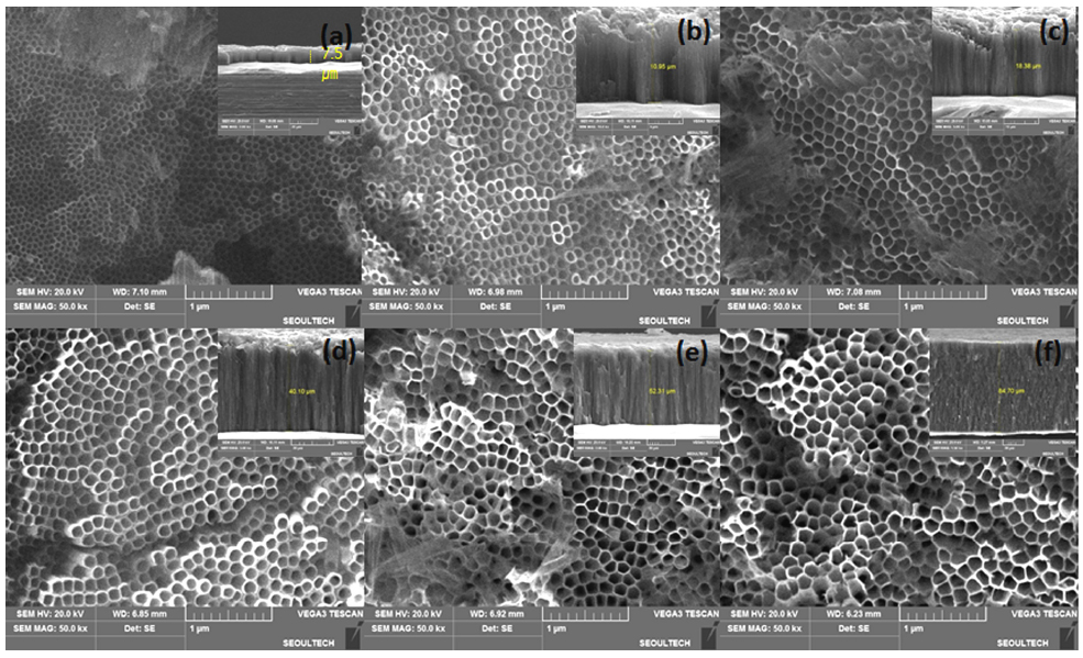 SEM images of TiO2 nanotube formed at different voltage for 15 h in ethylene glycol + 0.2 wt% NH4F + 2 vol% H2O, (a) 30 V (b) 40 V (c) 50 V (d) 60 V (e) 70 V (f) 80 V.