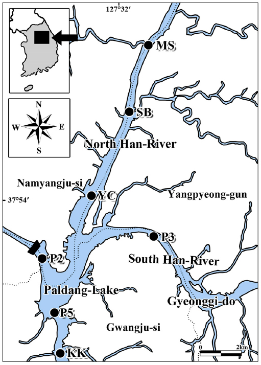 Survey sites for algae, sediment and odorous. North Han-River (MS: Mukhyen-Stream, SB: Sambong, YC: Yangsoo railroad bridge, South Han-River (P3: front of Wolgye-sa), Paldang-Lake (P2: front of dam, P5: Paldang-Lake) and Kyeongan-Stream (KK: Kyeongan-Stream)