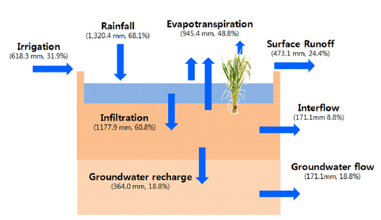 Estimated water balance for the paddy fields in the Mankyung River Watershed.