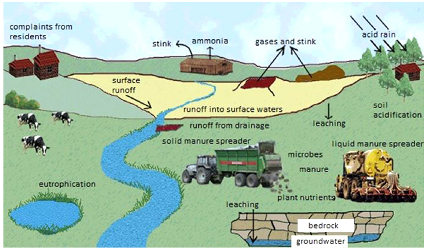 Role of manure in the determining air and water quality (Baltic Deal, 2012).