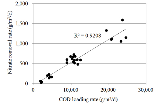 The relationship between the CODCr loading rates and the nitrate removal rates.