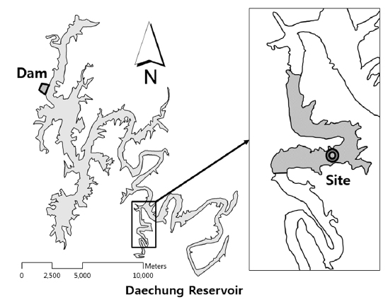 Map of sampling site. Shaded area in the boxed map indicates the zone of exploration to measure amount and depth for sediment.