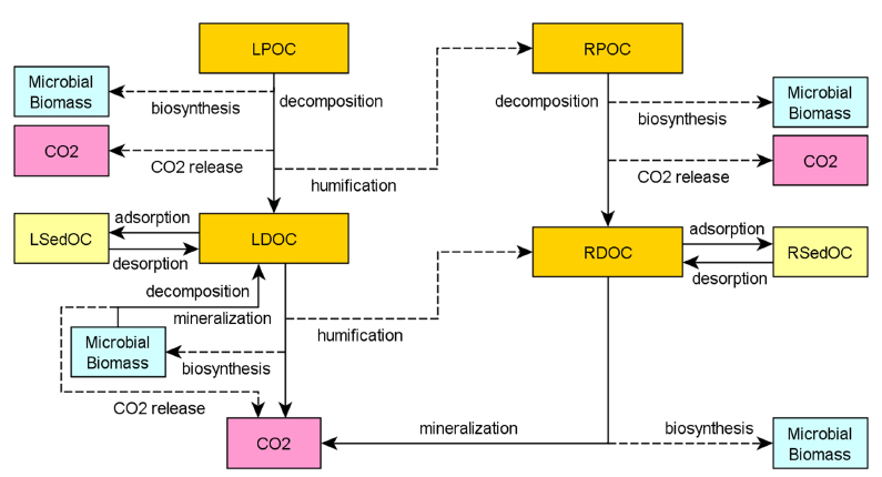 A schematic diagram showing soil carbon storages and transformation processes in STREAM.