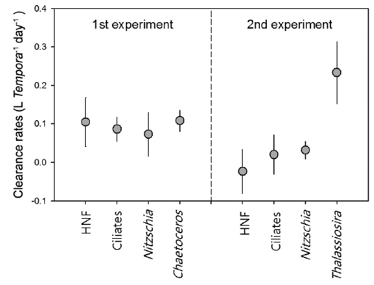 Clearance rates (L Tempora-1 day-1) of T. turbinata on bacteria, HNF, ciliates, and dominant diatom species during 1st experiment (September 1, 2006) and 2nd experiment (September 23, 2006). Error bars represent standard deviation.