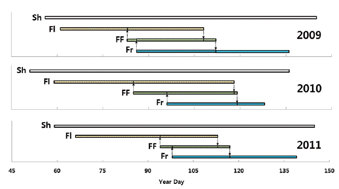 Life cycle of an Adonis multiflora population during growing season in 2009-2011. Sh, shoot duration; Fl, flowering duration; FF, flower falling duration; Fr, fruiting duration.