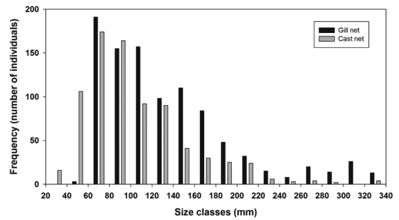 Length distribution of collected fishes from fifteen reservoirs using two different fishing gears. TLs of all collected fishes were used. Frequency means summation of number of individuals which are included in certain size classes. Size classes were grouped by 20 mm from 20 mm to longer than 320 mm total length.